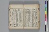 和哥八重垣 020/048