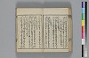 和哥八重垣 023/048