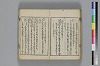 和哥八重垣 025/048