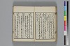 和哥八重垣 031/048