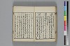 和哥八重垣 032/048