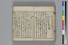 和哥八重垣 037/048