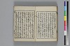 和哥八重垣 046/048