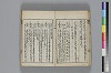和哥八重垣 016/043