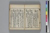 和哥八重垣 019/043