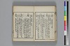 和哥八重垣 022/043