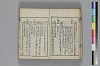 和哥八重垣 027/043