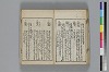 和哥八重垣 031/043