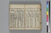 和哥八重垣 037/043
