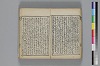 和哥八重垣 021/036