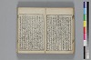 和哥八重垣 023/036