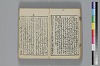 和哥八重垣 029/036