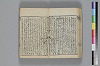 和哥八重垣 020/047