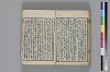 和哥八重垣 042/047