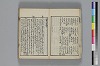 和哥八重垣 009/044