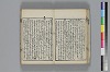 和哥八重垣 019/044