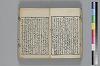 和哥八重垣 021/044