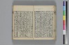 和哥八重垣 026/044