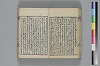 和哥八重垣 027/044