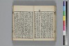 和哥八重垣 028/044