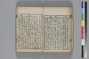 和哥八重垣 033/044