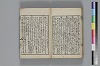 和哥八重垣 042/044