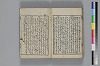 和哥八重垣 043/044