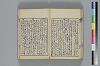 和哥八重垣 024/045