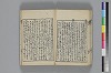和哥八重垣 025/045