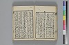 和哥八重垣 035/045