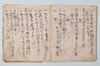 〔新式外不審?五百ヶ條〕（仮題） 006/031
