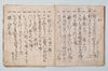 〔新式外不審?五百ヶ條〕（仮題） 008/031
