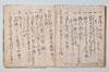 〔新式外不審?五百ヶ條〕（仮題） 011/031