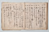 〔新式外不審?五百ヶ條〕（仮題） 017/031
