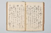 園塵并發句 027/055
