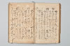園塵并發句 035/055