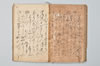 園塵并發句 039/055