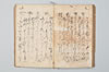 園塵并發句 044/055