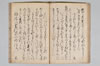 大神宮法楽千句 017/027