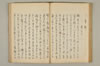 萱草 115/147