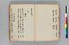 沙金袋 003/036