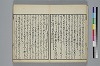 也哉抄 009/042