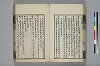 詩人玉屑 037/208