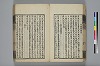 詩人玉屑 042/208