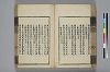 詩人玉屑 093/208