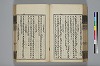 詩人玉屑 103/208