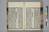 詩人玉屑 109/208
