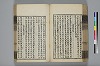 詩人玉屑 111/208