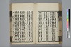 詩人玉屑 117/208