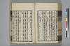 詩人玉屑 147/208